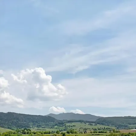 Am Rebberg Διαμέρισμα