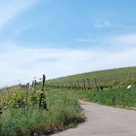 Διαμέρισμα Am Rebberg *